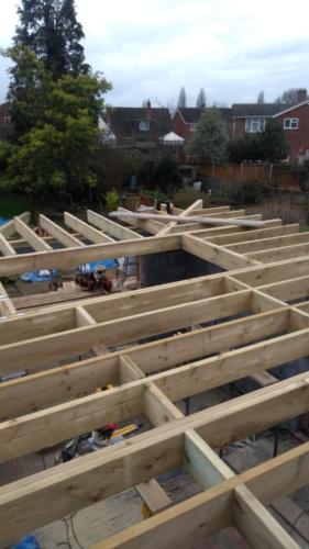 Timber roof with skylights